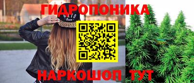 spice Рязань