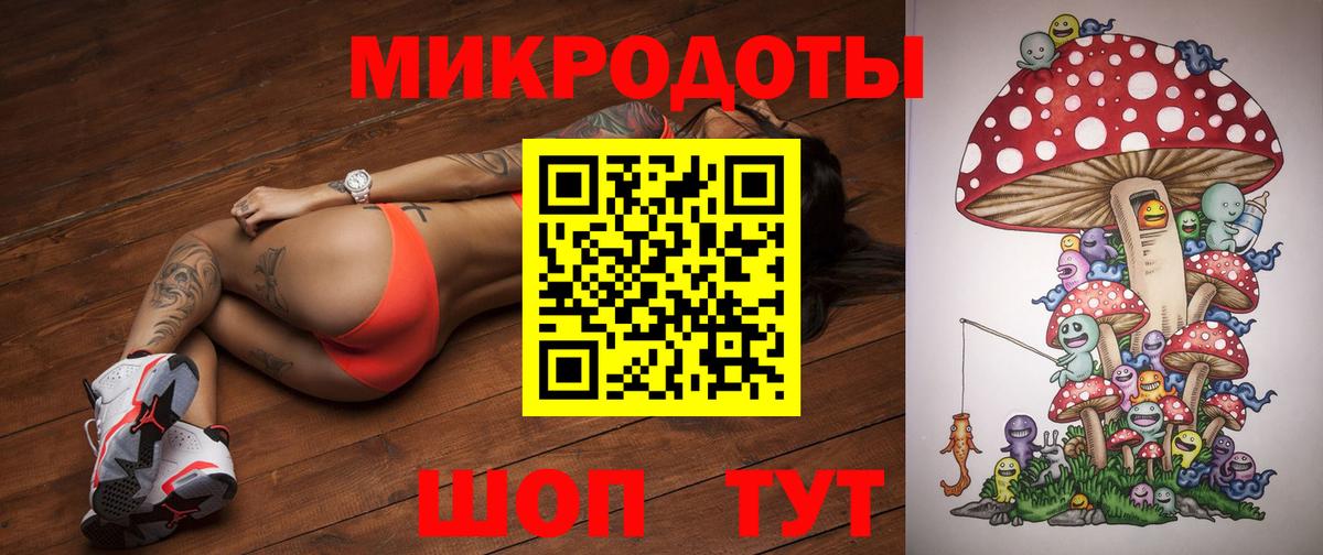 Псилоцибиновые грибы прущие грибы Сочи