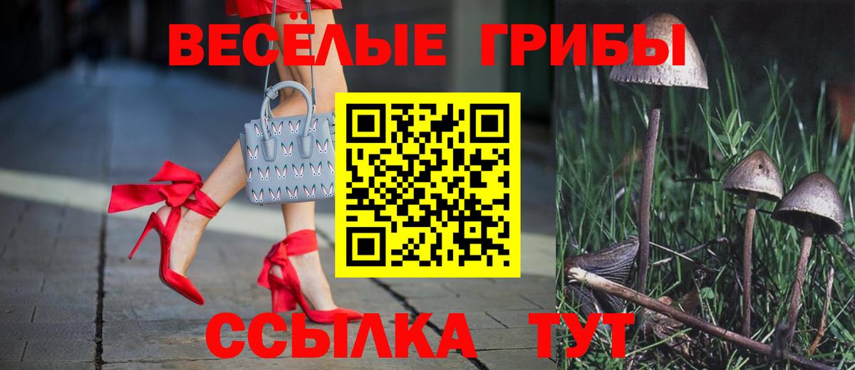 Сочи  Псилоцибиновые грибы MAGIC MUSHROOMS  Галлюциногенные грибы Cubensis  Вход с VPN 